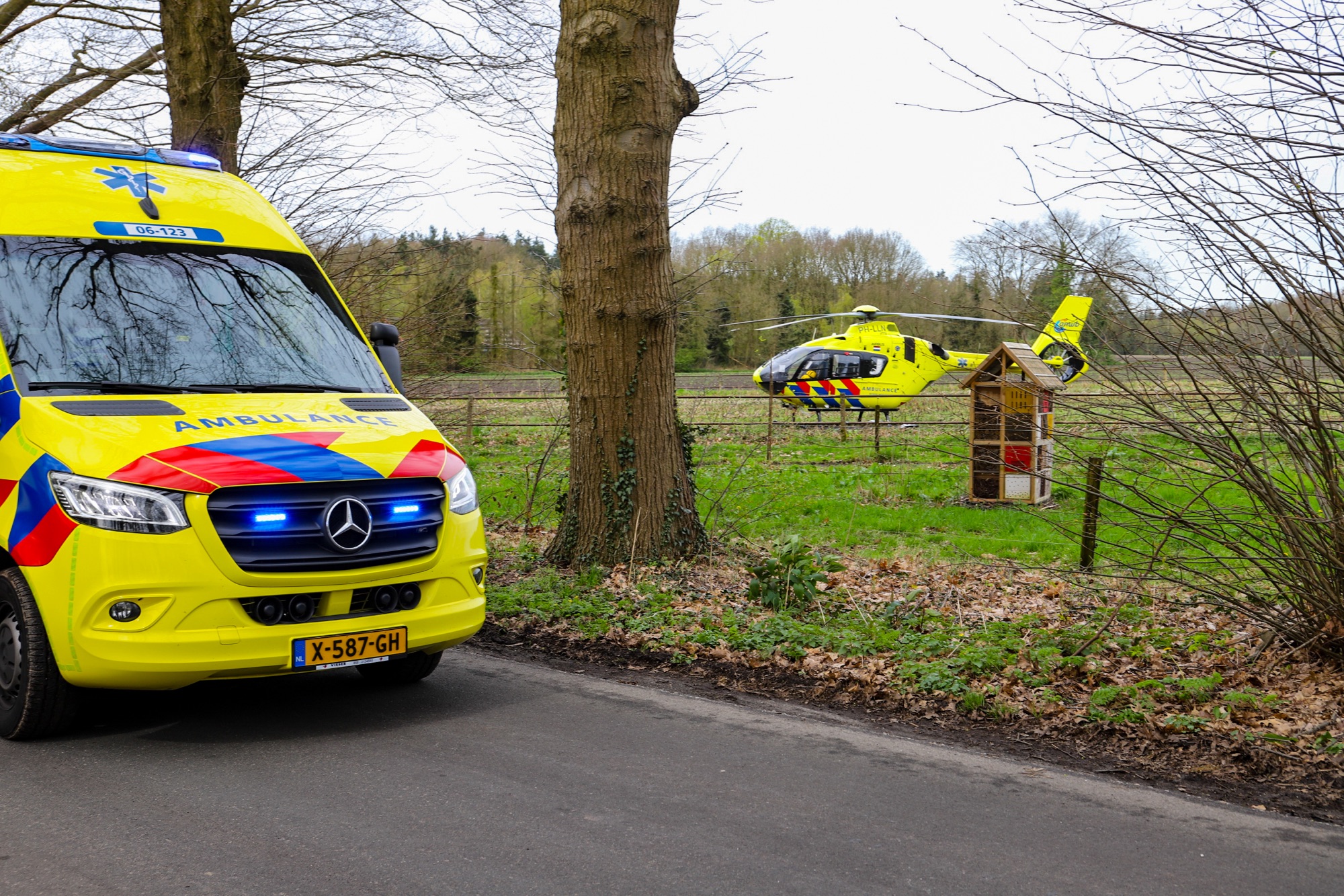 Jong Meisje Op Paard Komt Lelijk Ten Val In Bos Beekbergen Nieuws