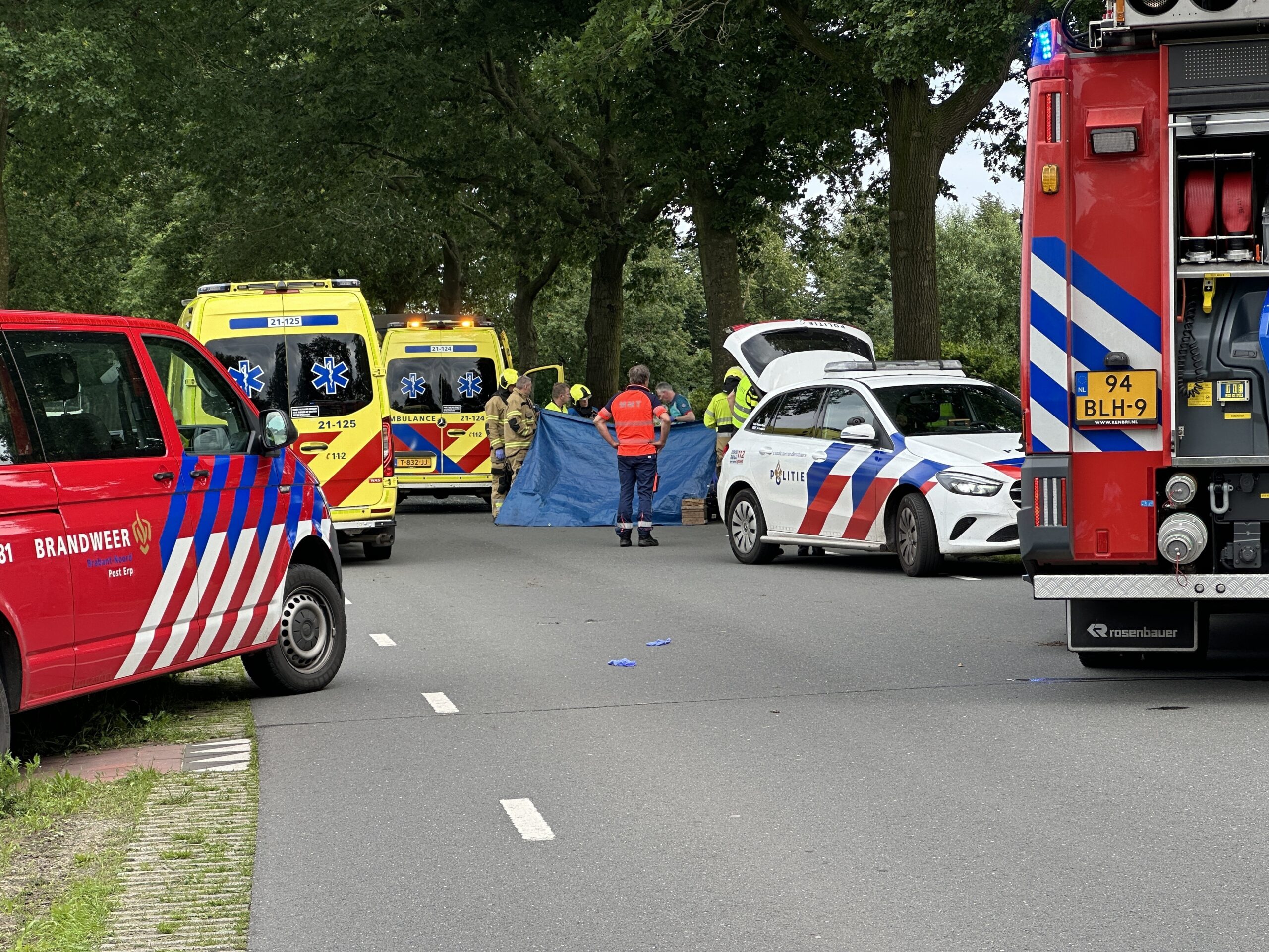 Automobilist Overleden Na Frontale Botsing Tegen Boom Heuvelberg Erp ...