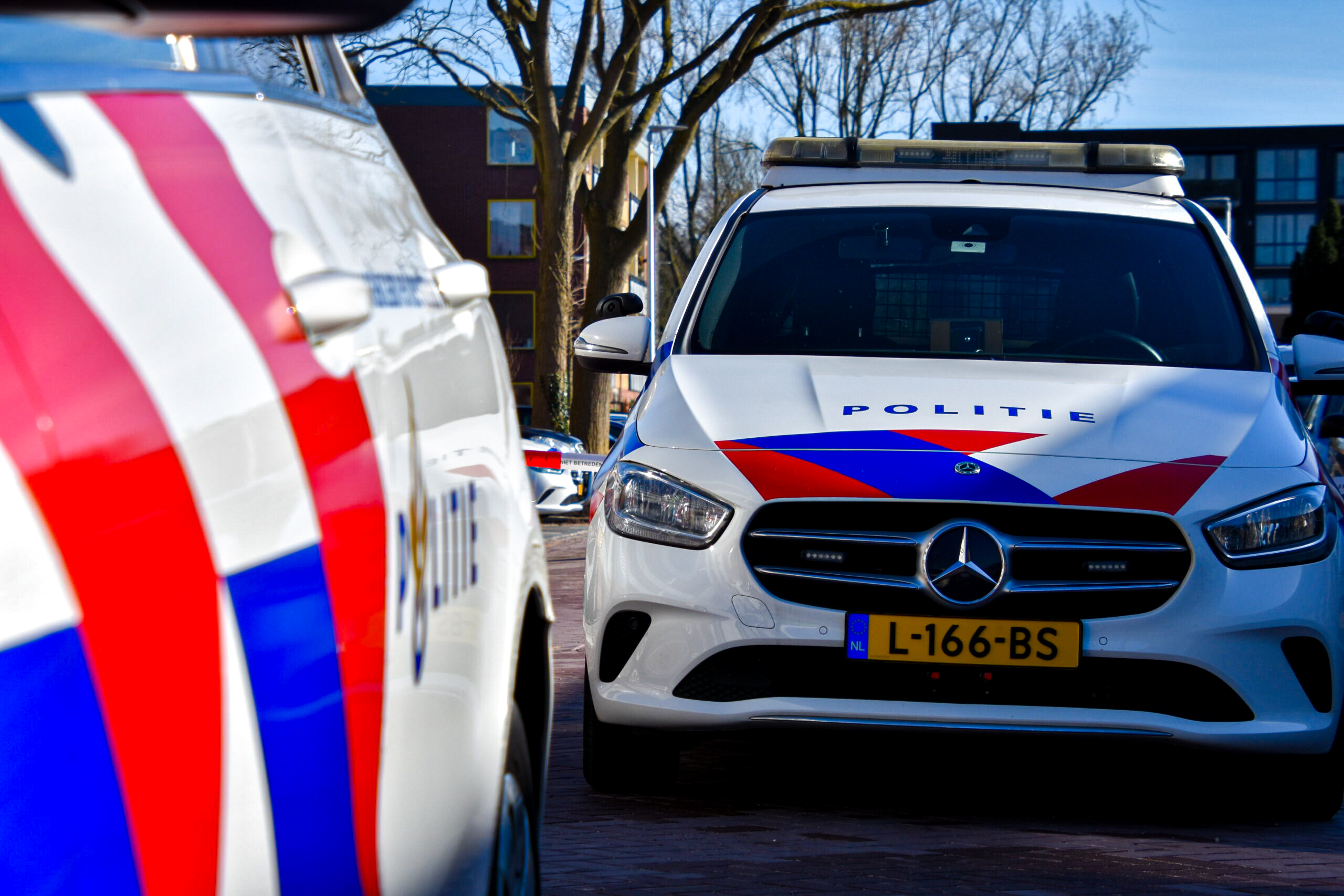 Aangelijnde hond doodgebeten door vijf andere honden 112 Nieuws Nederland