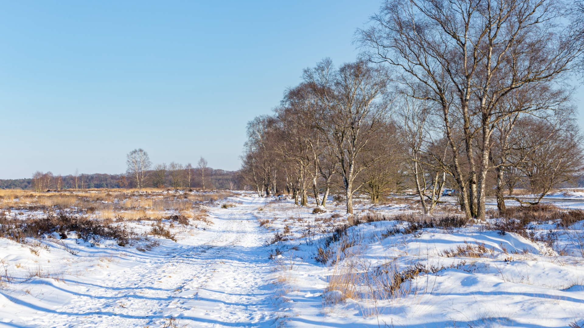 Strenge winter op komst? Experts zien iets verschijnen op de weermodellen