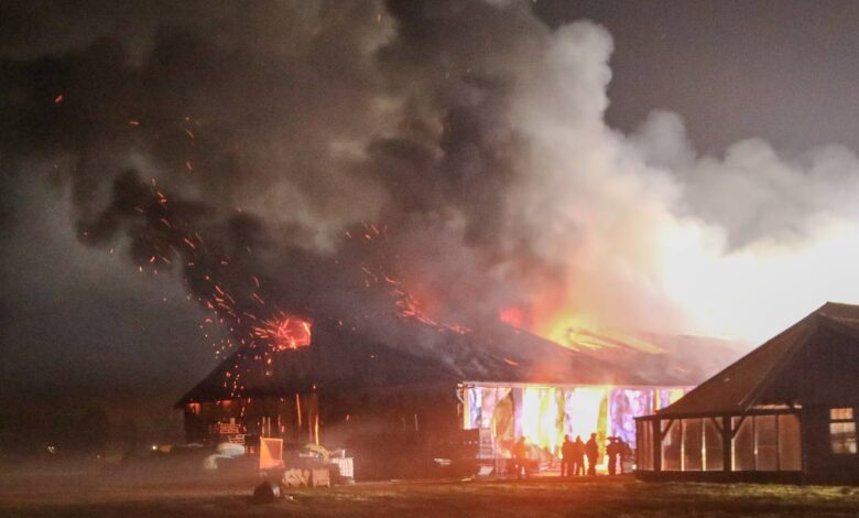 Ruim 1.100 geiten overleden bij grote uitslaande stalbrand