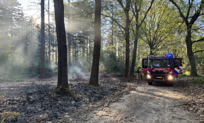 Grote bosbrand uitgebroken; brandweer met meerdere wagens opgeroepen