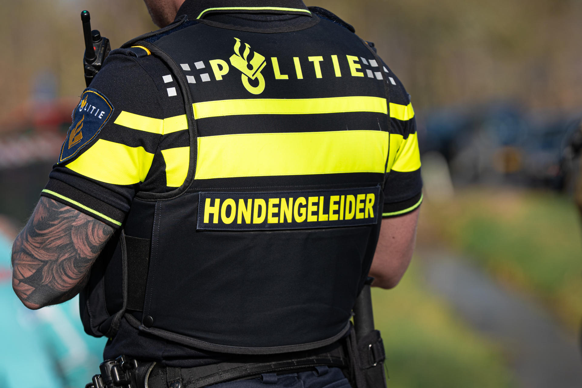 Vier honden overleden na uitlaten in Schiedam